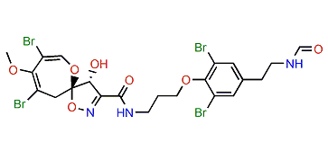 Ceratinamide A